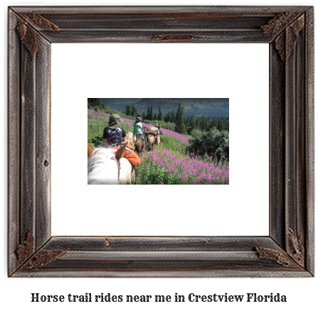 horse trail rides near me in Crestview, Florida